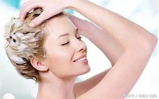 科學護發，選對產品是關鍵 從發質出發的護發產品指南